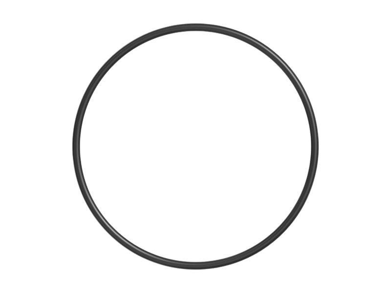 O-Ring