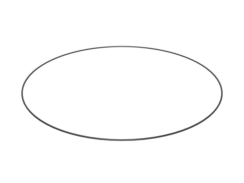 Уплотнительное кольцо с внутренним диаметром 786,76 мм