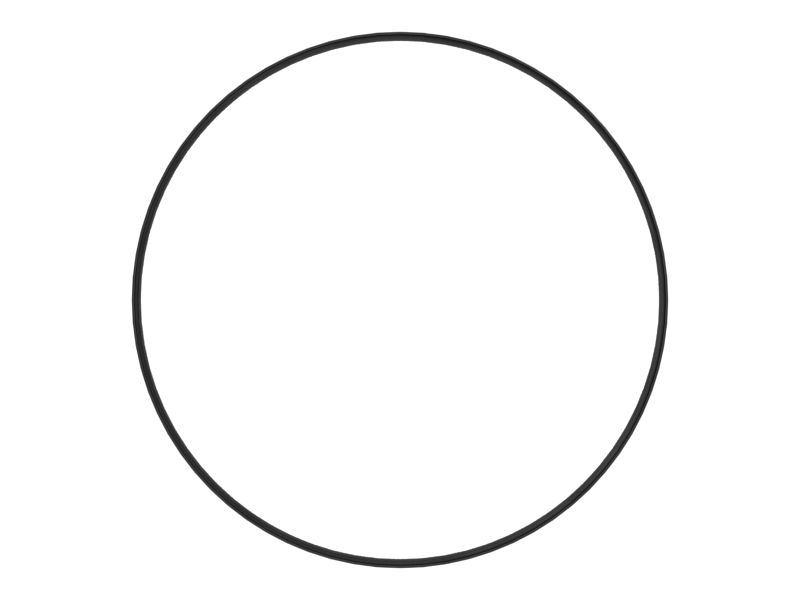 Внешнее уплотнительное кольцо с внутренним диаметром 261,06 мм