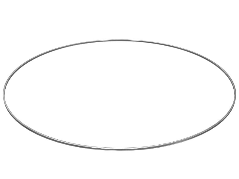 1S-6481: 内径282.96mmシールリング