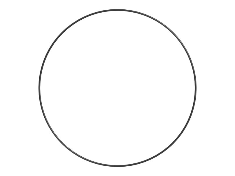 Уплотнительное кольцо с внутренним диаметром 316,87 мм