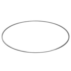 8P-2019: Internal Seal Ring