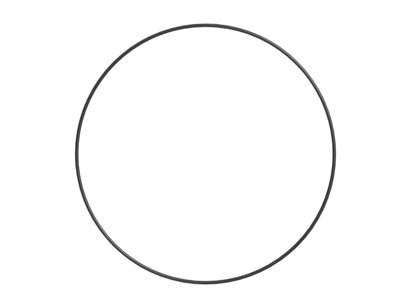 Уплотнительное кольцо с внутренним диаметром 266,29 мм