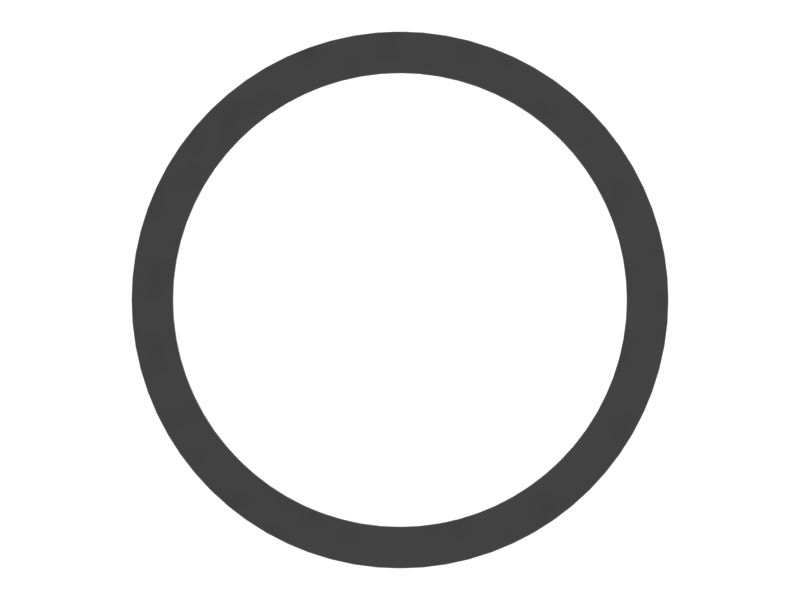 488-5400: SEAL-RING 4885400 купить