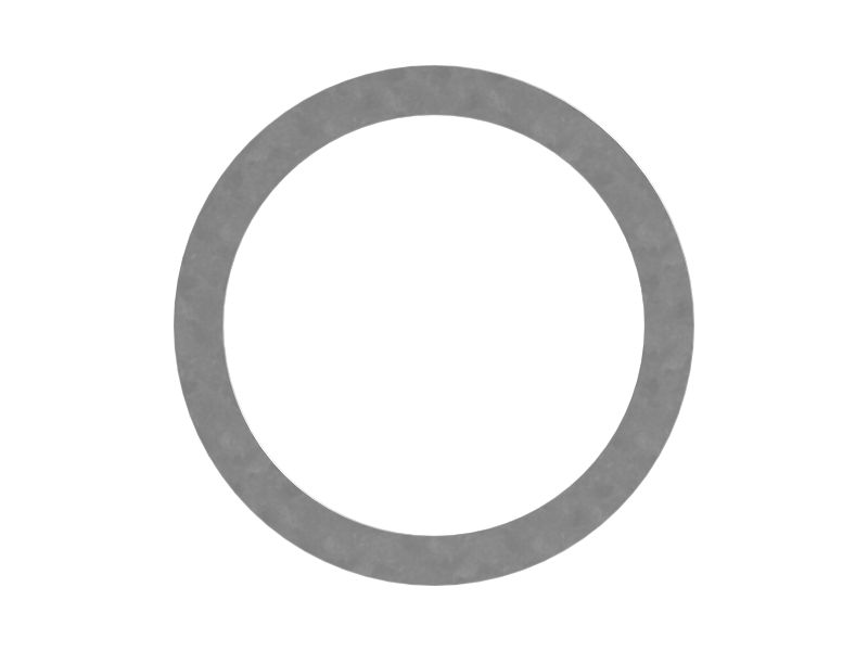 ШАЙБА ШЕСТЕРНИ