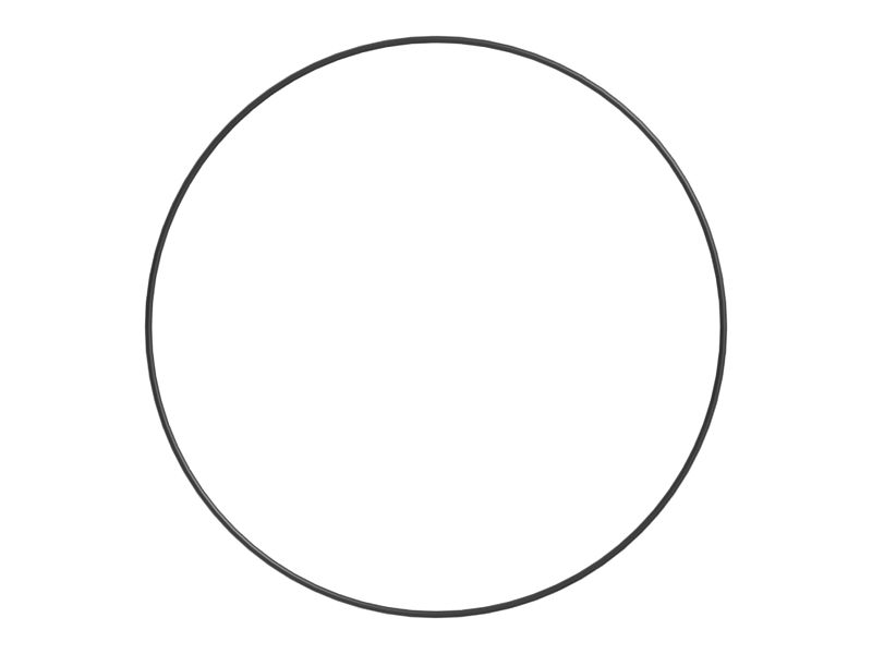 Уплотнительное кольцо с внутренним диаметром 291,69 мм