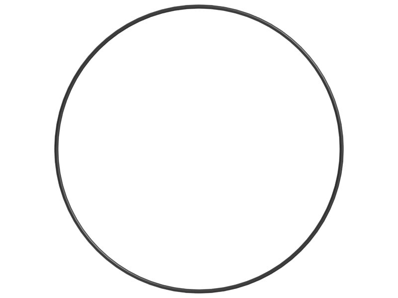 Уплотнительное кольцо с внутренним диаметром 247,24 мм