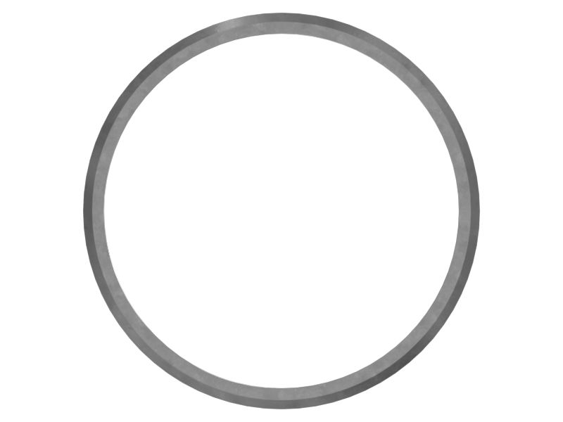 220-8678: Seal-Ring