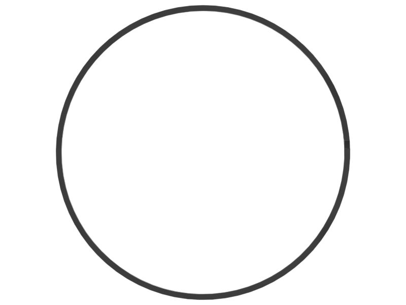 КОЛЬЦО ИЗНОСНОЕ