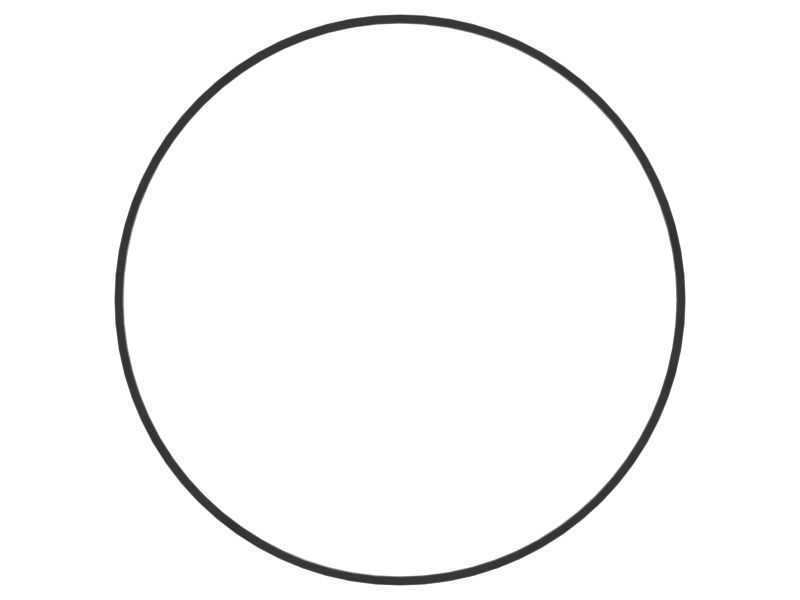 Пластмассовое внутреннее уплотнительное кольцо с внутренним диаметром 244,91 мм