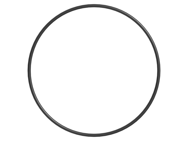 487-3164: SEAL O-RING 4873164 купить