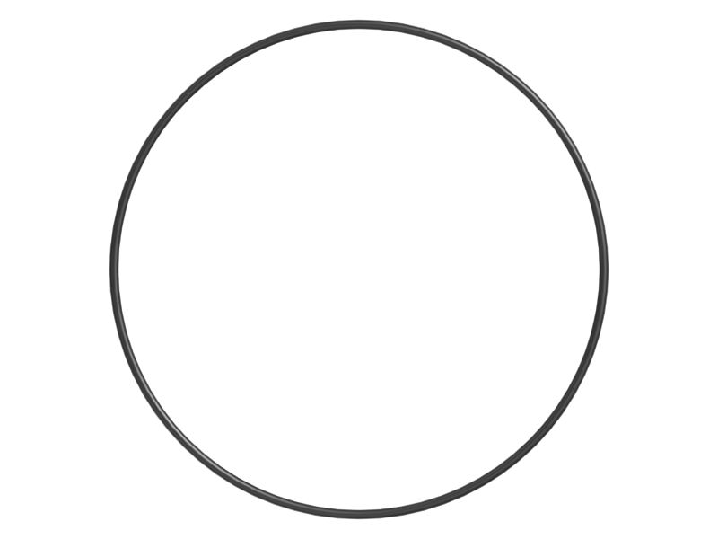 507-8756: O-ring 5078756 купить