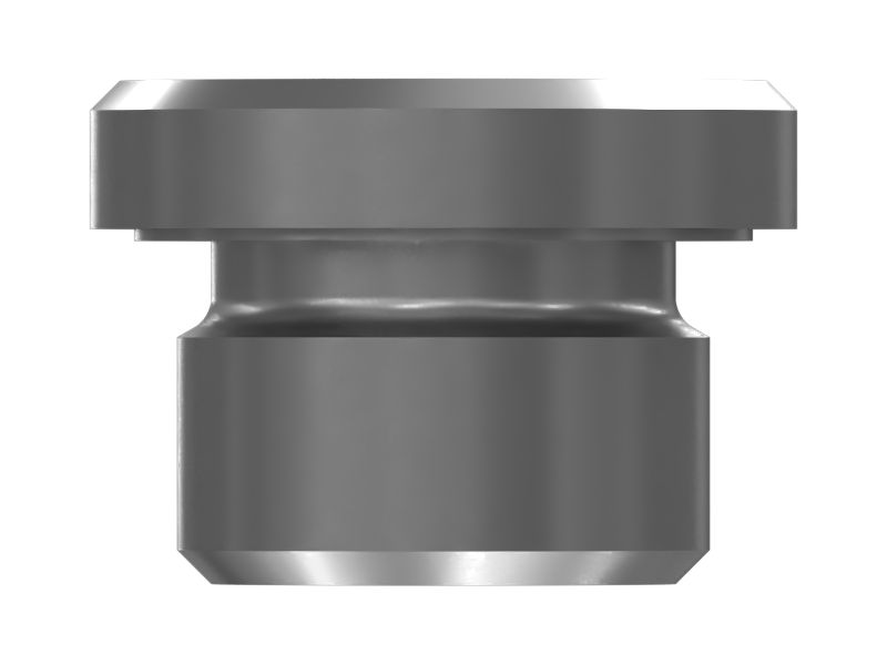 Заглушка с отверстием на торцевой стороне в сборе