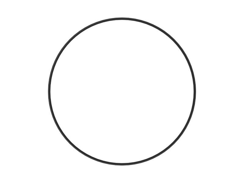 Внутренние уплотнительные кольца с внутренним диаметром 307,03 мм