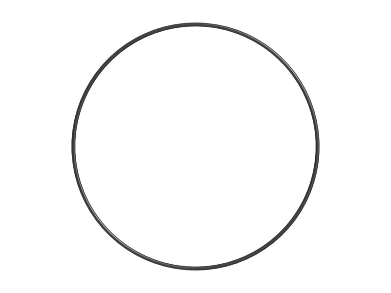 490-8793: O-ring 4908793 купить