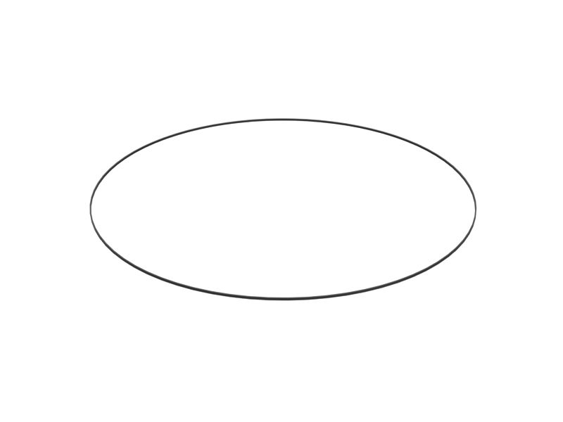 592-6577: Seal-Ring