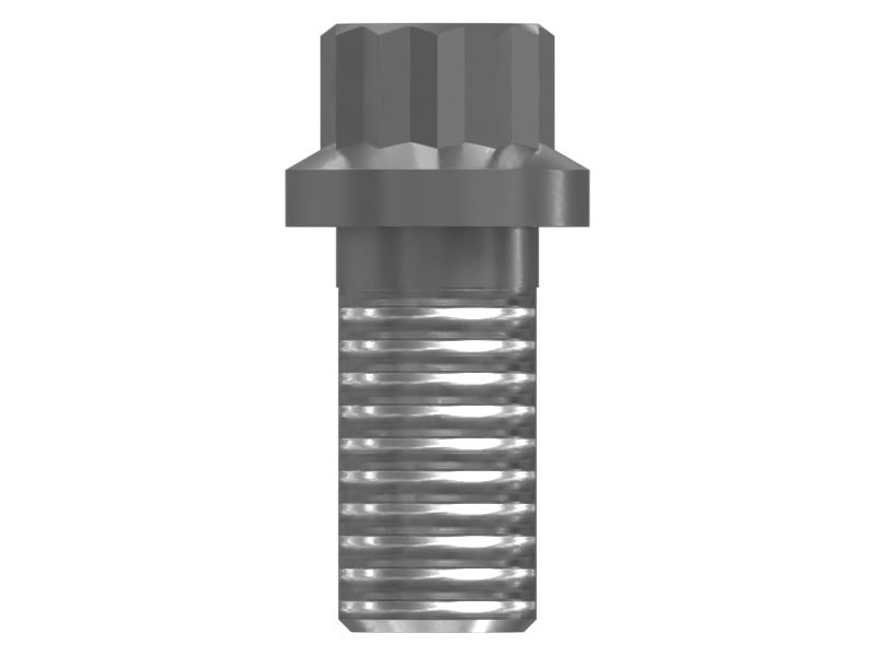 031-9069: 12 Point Head Bolt 0319069 купить