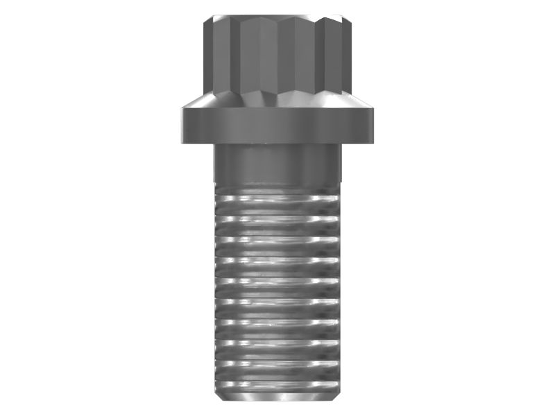 031-9069: 12 Point Head Bolt 0319069 купить