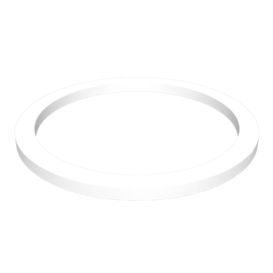 095-1787: 22 mm 内径支承环