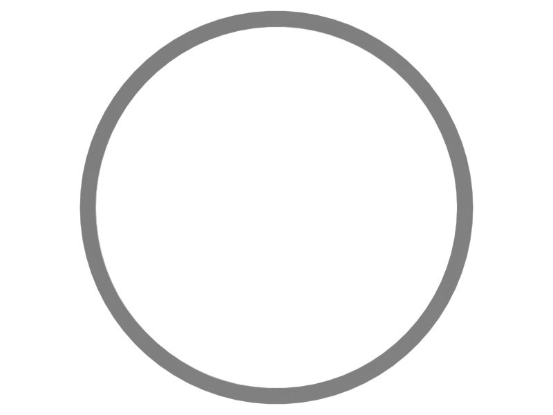 424-8487: RING-DUST 4248487 купить