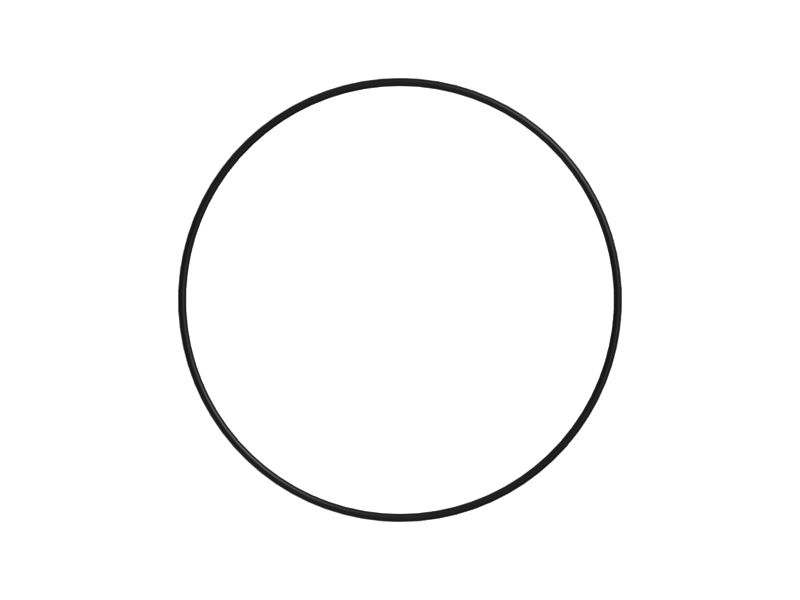 Уплотнительное кольцо с внутренним диаметром 169,4 мм