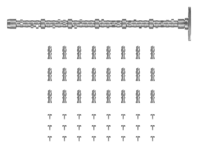 КОМПЛЕКТ РАСПРЕДЕЛИТЕЛЬНОГО ВАЛА