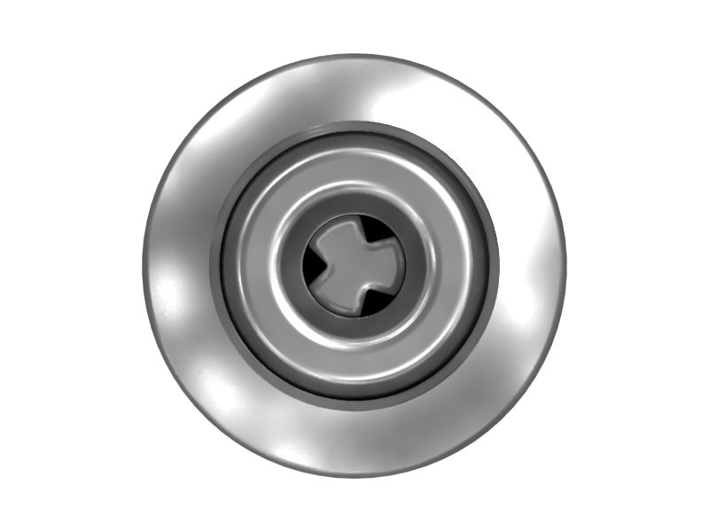 ЗОЛОТНИК ЦИЛИНДРИЧЕСКИЙ В СБОРЕ