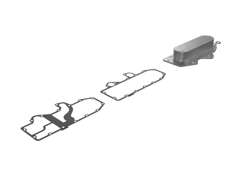 СЕРДЕЧНИК В СБОРЕ