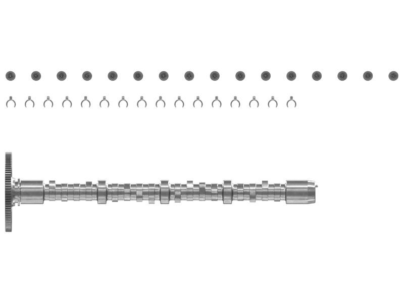 КОМПЛЕКТ РАСПРЕДЕЛИТЕЛЬНОГО ВАЛА