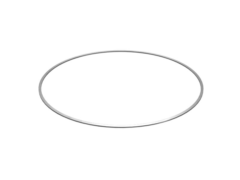 Backup Ring