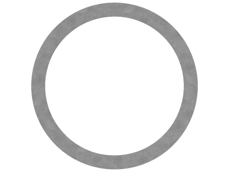 Backup Ring