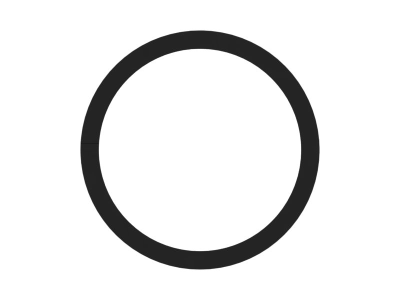 506-1696: RING-BACKUP 5061696 купить