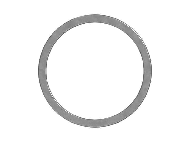 502-8731: RING-ADJUSTM 5028731 купить
