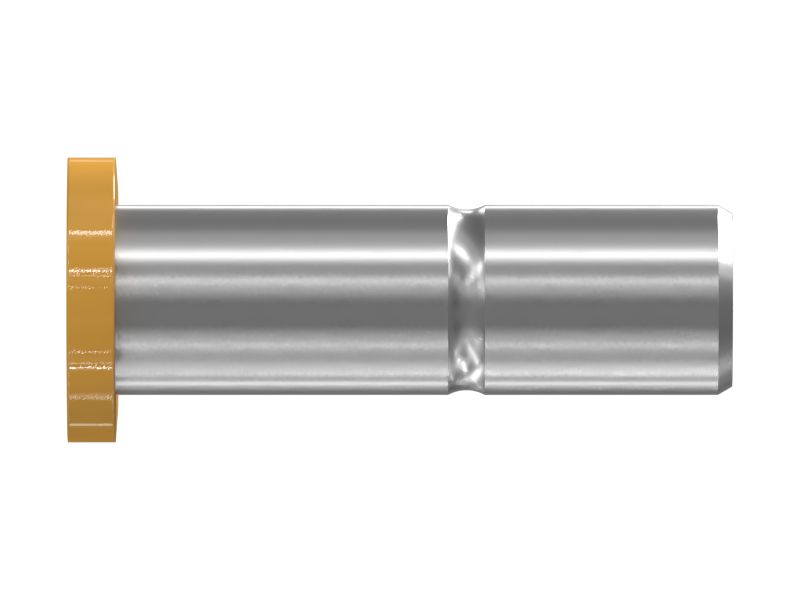 PIN AS
