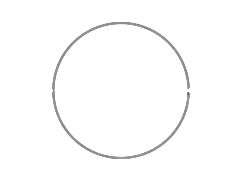 217mm Inner Diameter Piston Wear Ring