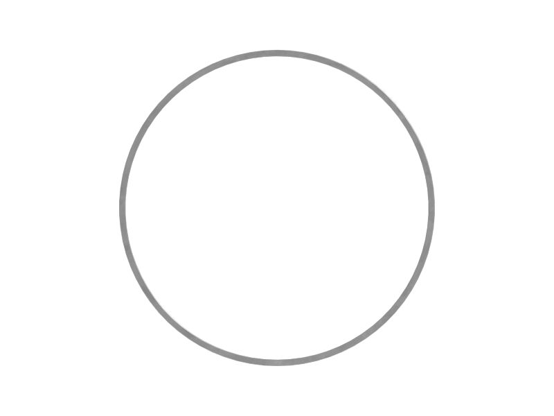 216.3mm Inner Diameter Backup Ring