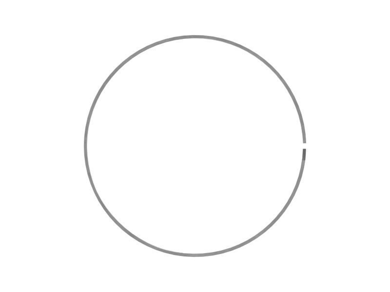225mm Outer Diameter Piston Wear Ring