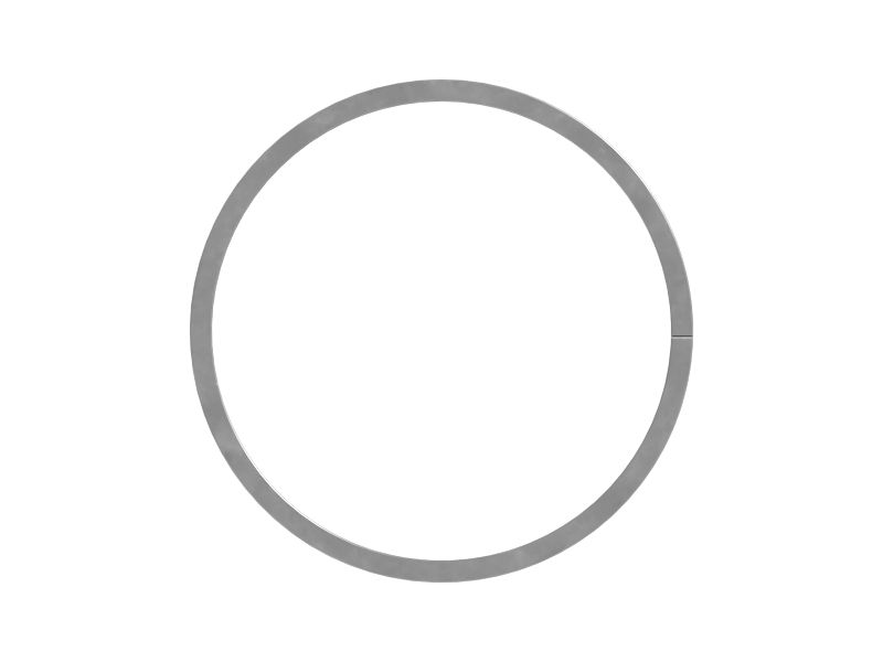 160mm Inner Diameter Backup Ring