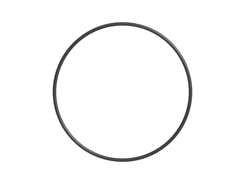 208.92mm Inner Diameter O Ring Seal
