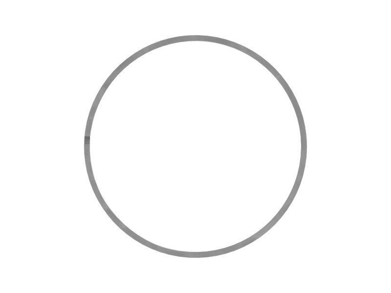 100mm Outer Diameter Bucket Cylinder Wear Ring