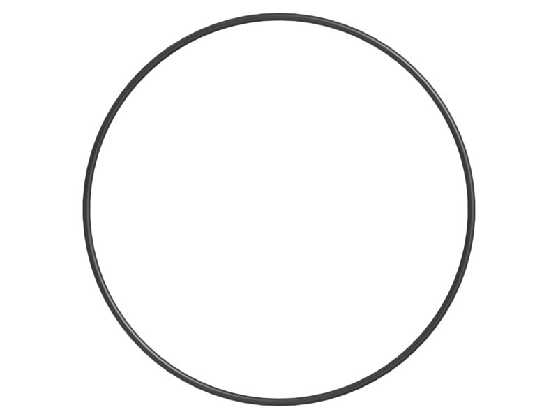 Bucket Cylinder O-Ring Seal