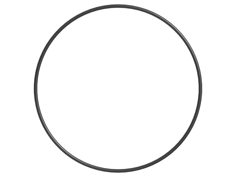 Hydraulic Cylinder O Ring Seal