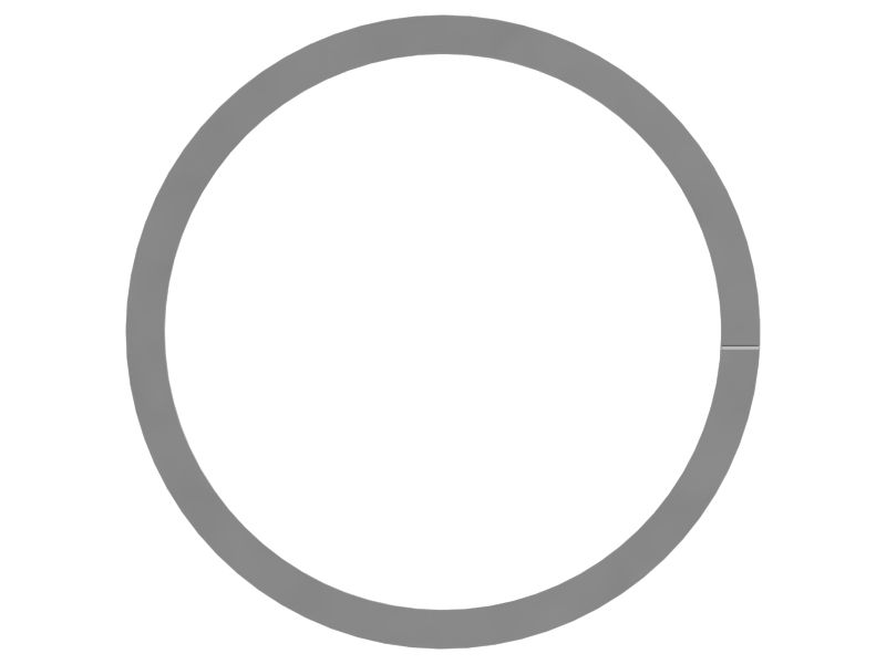 585-5092: RING-BKUP-ID 5855092 купить