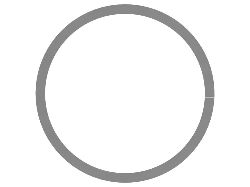 585-5109: RING-BKUP-ID 5855109 купить