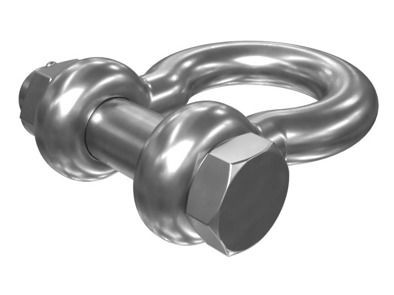 554-9086: SHACKLE 5549086 купить