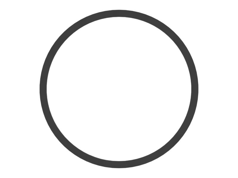 555-6520: SEAL-PISTON 5556520 купить