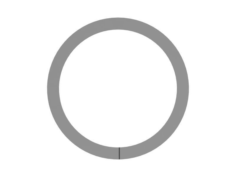 RING-BACKUP