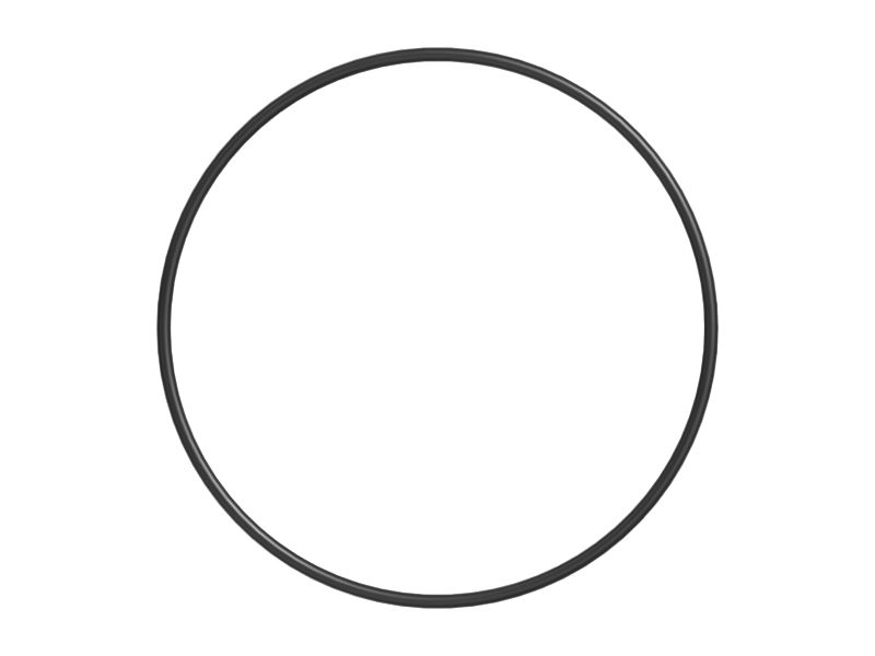 Уплотнительное кольцо, внутренний диаметр 278,76 мм