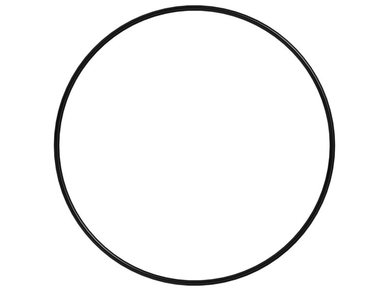 Уплотнительное кольцо с внутренним диаметром 289,3 мм