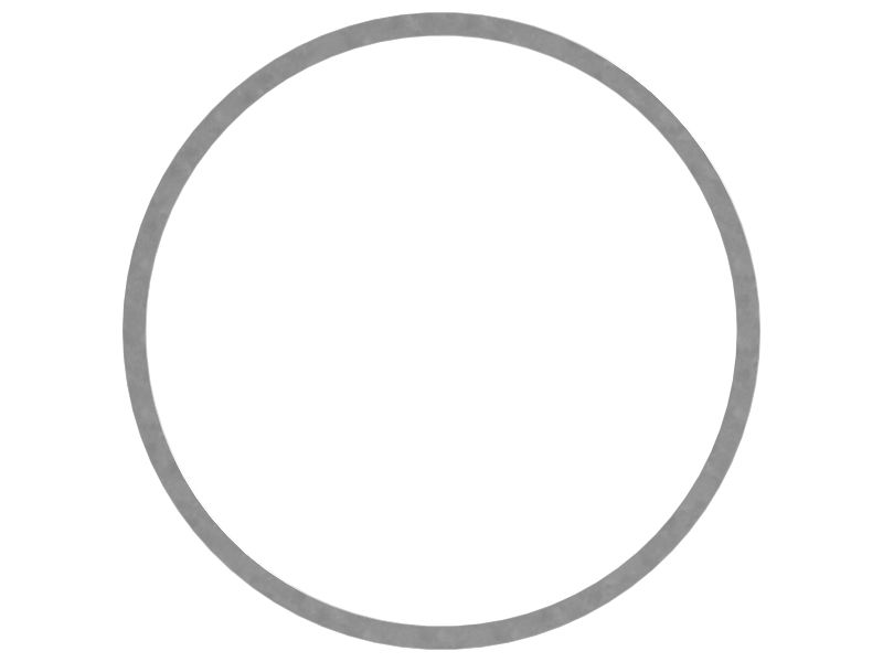 Опорное кольцо, внутренний диаметр 79,8 мм